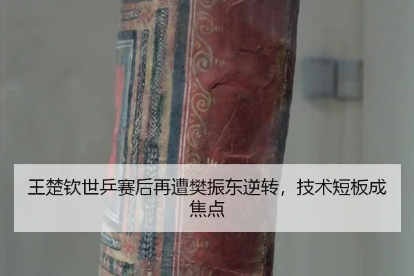 wang-chu-qin-shi-ping-sai-hou-zai-zao-fan-zhen-dong-ni-zhuan-ji-shu-duan-ban-cheng-jiao-dian-2-316.jpg